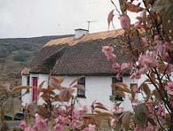 Connemara Country Cottages